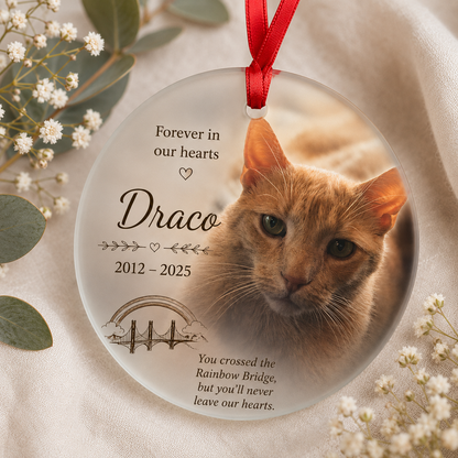 Custom Printed Pet Memorial Frosted Glass Ornament