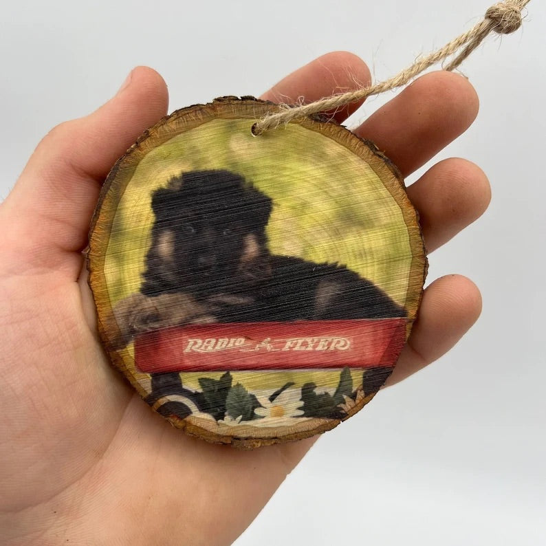 Custom Pet Ornament